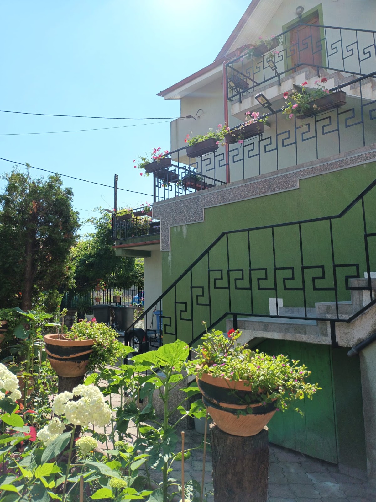 Casa Tuia